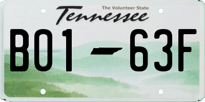 TN license plate B0163F