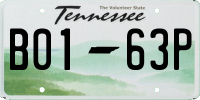 TN license plate B0163P