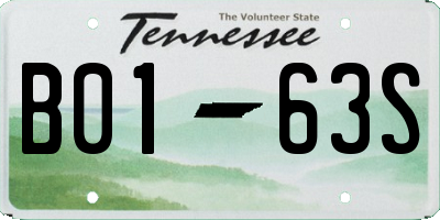 TN license plate B0163S