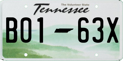 TN license plate B0163X