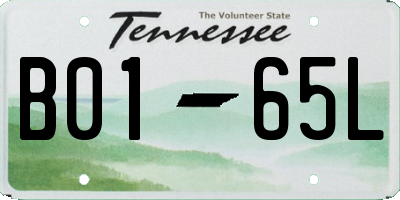 TN license plate B0165L
