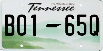 TN license plate B0165Q