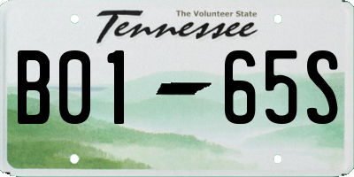 TN license plate B0165S