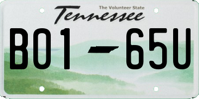 TN license plate B0165U