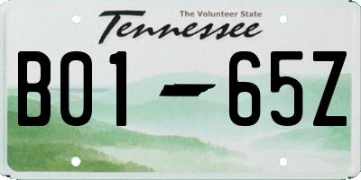 TN license plate B0165Z
