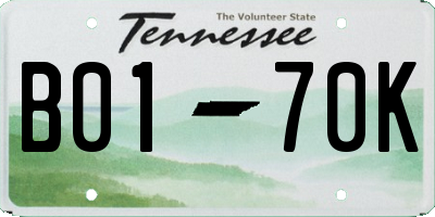 TN license plate B0170K