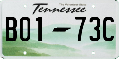 TN license plate B0173C