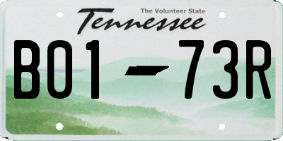TN license plate B0173R