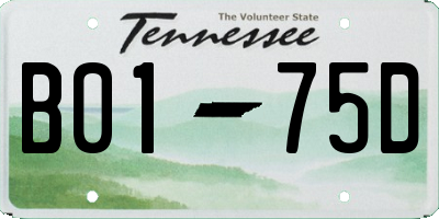TN license plate B0175D