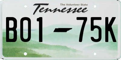 TN license plate B0175K