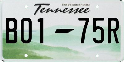 TN license plate B0175R