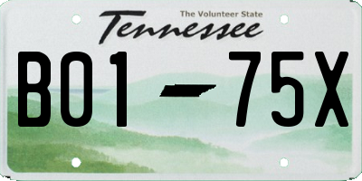 TN license plate B0175X