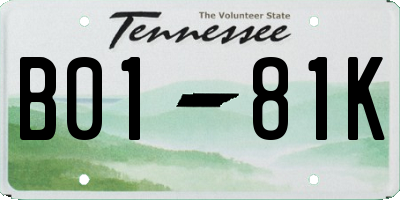 TN license plate B0181K