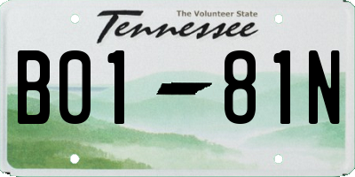 TN license plate B0181N