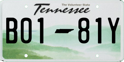TN license plate B0181Y