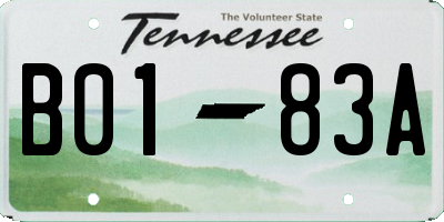TN license plate B0183A