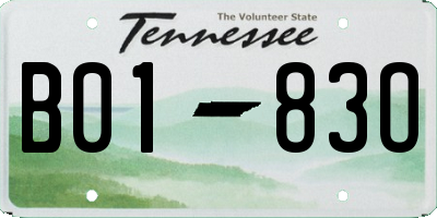TN license plate B0183O