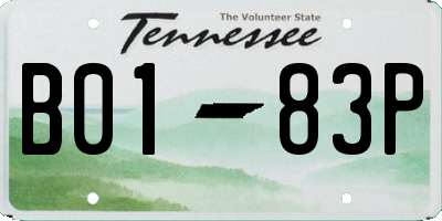 TN license plate B0183P