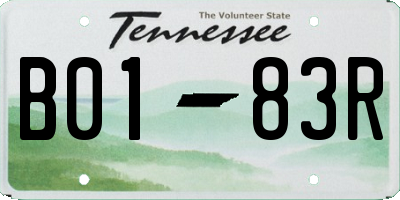 TN license plate B0183R
