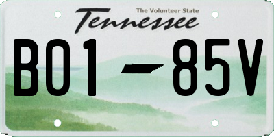 TN license plate B0185V