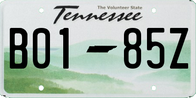 TN license plate B0185Z