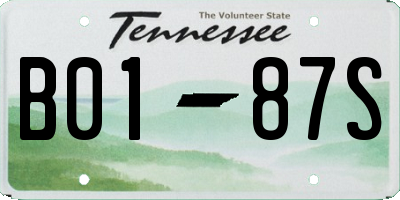 TN license plate B0187S