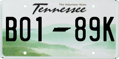 TN license plate B0189K