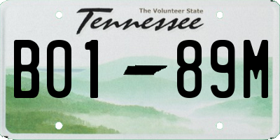 TN license plate B0189M
