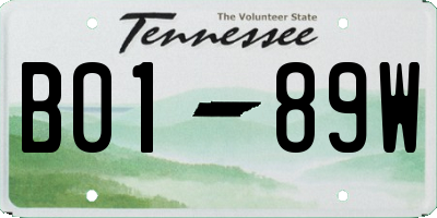 TN license plate B0189W