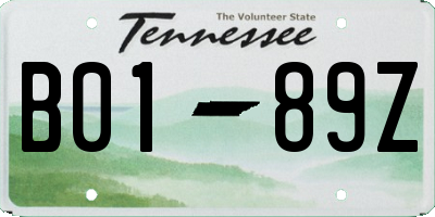 TN license plate B0189Z