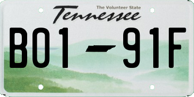 TN license plate B0191F