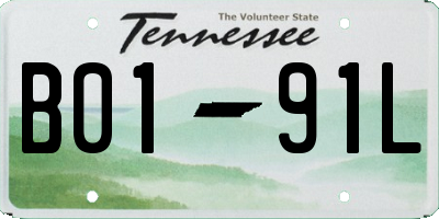 TN license plate B0191L