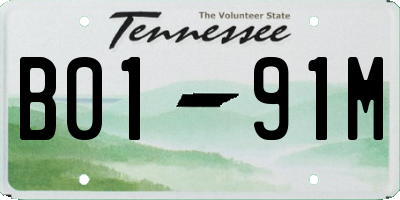 TN license plate B0191M