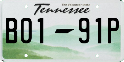 TN license plate B0191P