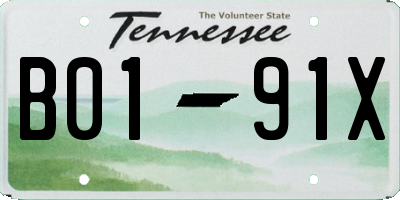 TN license plate B0191X