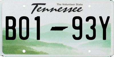 TN license plate B0193Y