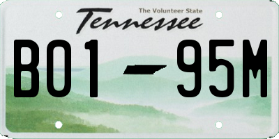 TN license plate B0195M