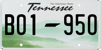 TN license plate B0195O