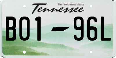 TN license plate B0196L