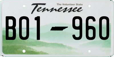 TN license plate B0196O