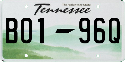 TN license plate B0196Q