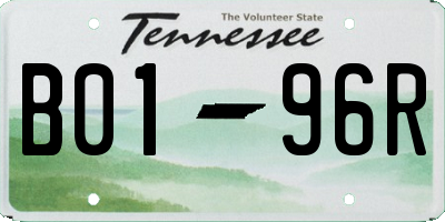 TN license plate B0196R
