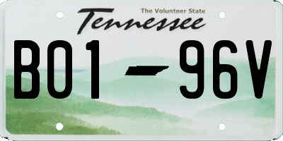 TN license plate B0196V