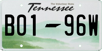 TN license plate B0196W