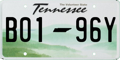 TN license plate B0196Y