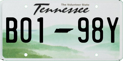 TN license plate B0198Y