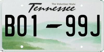 TN license plate B0199J