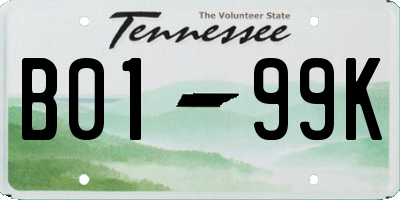 TN license plate B0199K