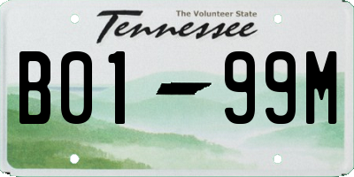 TN license plate B0199M