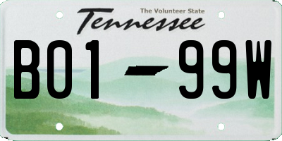 TN license plate B0199W